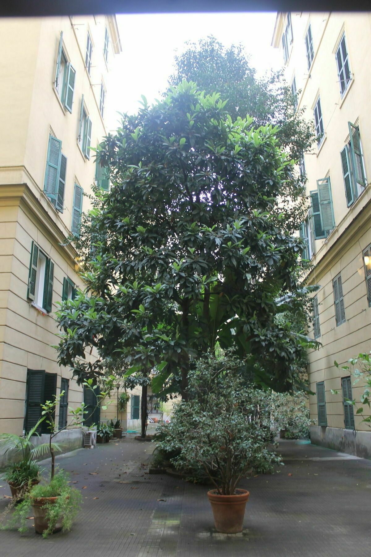 רומא Rovati Guesthouse מראה חיצוני תמונה